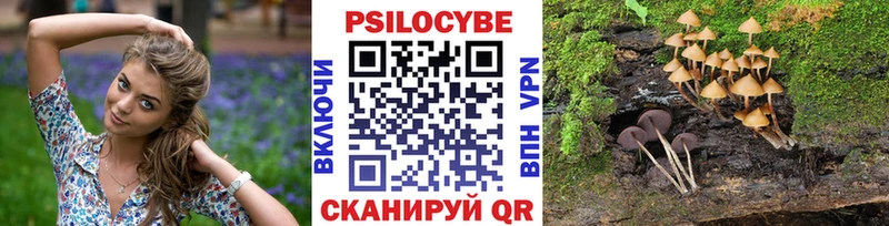 Галлюциногенные грибы мицелий Переславль-Залесский