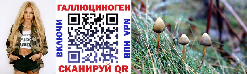 Галлюциногенные грибы Magic Shrooms  hydra как войти  Переславль-Залесский 