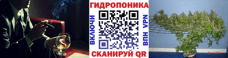 Бошки Шишки VHQ  Переславль-Залесский 
